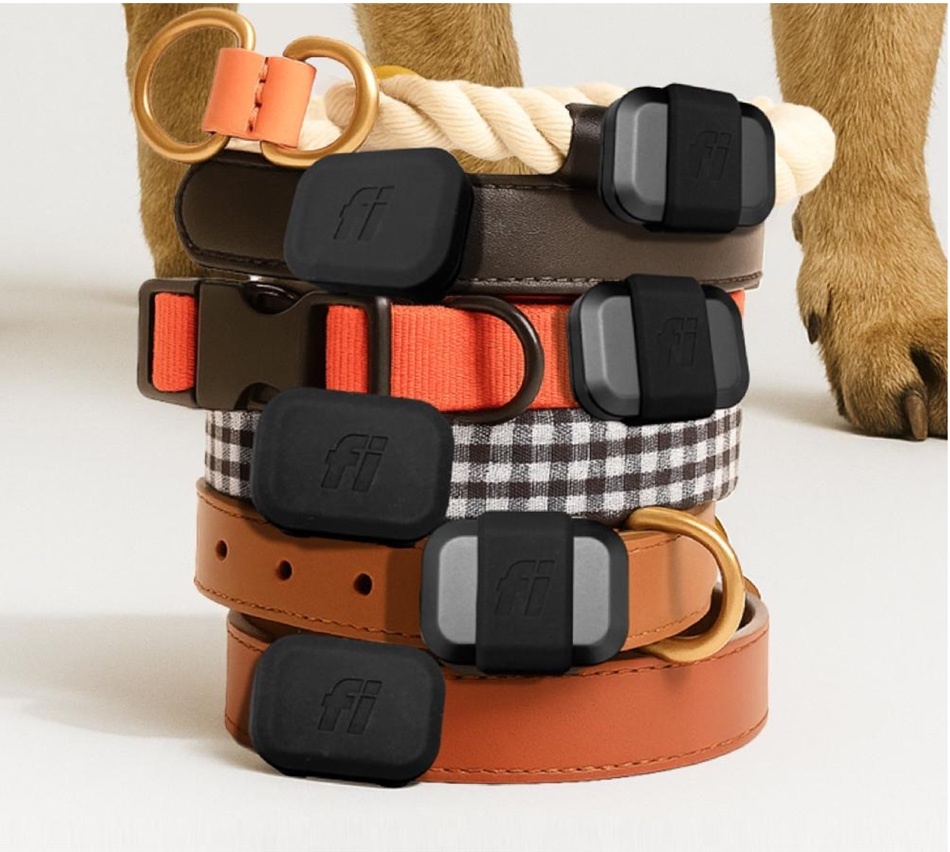 Fi Mini trackers integrated into a stack of dog collars